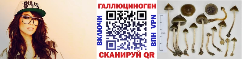 Псилоцибиновые грибы Psilocybe Сегежа